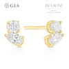 Thumbnail Image 1 of BLOOM Capri 14ct Yellow Gold 0.40ct Lab Grown Diamond Pear & Round Toi Et Moi Earrings