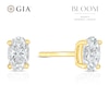 Thumbnail Image 1 of BLOOM Vienna 14ct Yellow Gold 0.50ct Lab Grown Diamond Oval Earrings