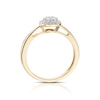 Thumbnail Image 2 of 9ct Yellow Gold 0.25ct Total Diamond Round Cluster Ring