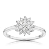 Thumbnail Image 0 of 9ct White Gold 0.37ct Total Diamond Flower Cluster Ring