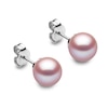 Thumbnail Image 1 of Yoko London Classic 18ct White Gold Pink Freshwater Pearl Stud Earrings