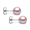 Thumbnail Image 3 of Yoko London Classic 18ct White Gold Pink Freshwater Pearl Stud Earrings