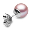 Thumbnail Image 4 of Yoko London Classic 18ct White Gold Pink Freshwater Pearl Stud Earrings