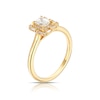 Thumbnail Image 2 of 18ct Yellow Gold 0.50ct Diamond Emerald Shaped Double Halo Ring