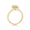 Thumbnail Image 3 of 18ct Yellow Gold 0.50ct Diamond Emerald Shaped Double Halo Ring