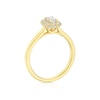 Thumbnail Image 3 of The Diamond Story 18ct Yellow Gold 0.50ct Diamond Halo Ring