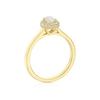 Thumbnail Image 3 of The Diamond Story 18ct Yellow Gold 0.50ct Diamond Halo Ring